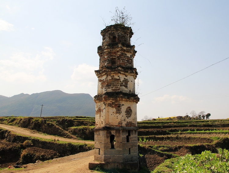 班竹板香沟——记我们足迹越过正安海拔最低的地方插图14