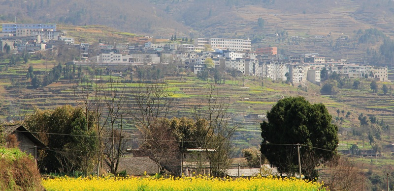 班竹板香沟——记我们足迹越过正安海拔最低的地方插图11