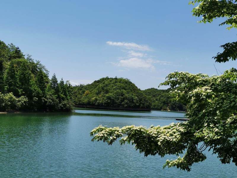 一县一景·品读贵州㉗丨吉他之都，“爱乐之城”插图1