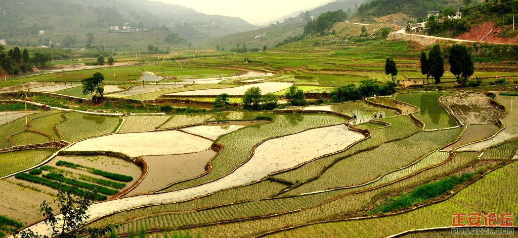 正安精品旅游线路推荐（小雅庙塘梯田）组图插图3