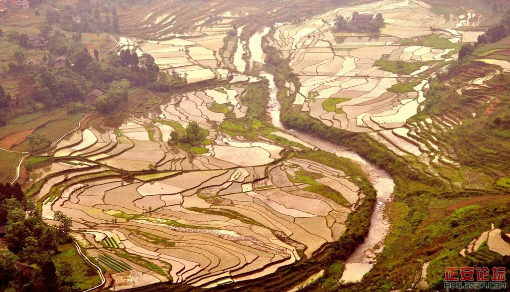 正安精品旅游线路推荐（小雅庙塘梯田）组图插图6
