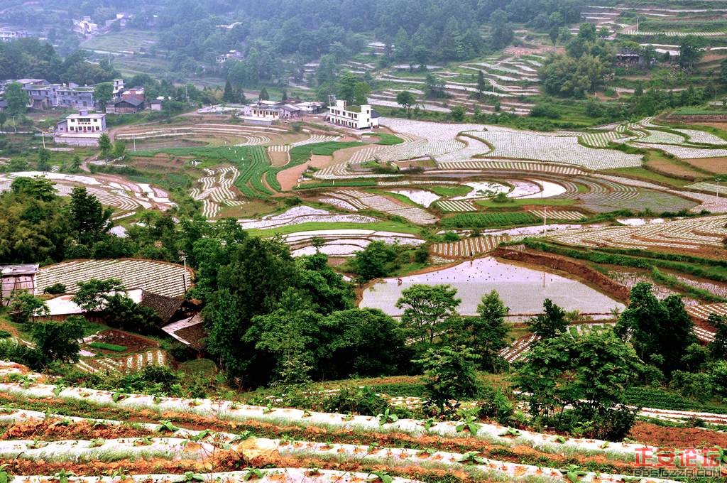 正安精品旅游线路推荐（小雅庙塘梯田）组图插图5