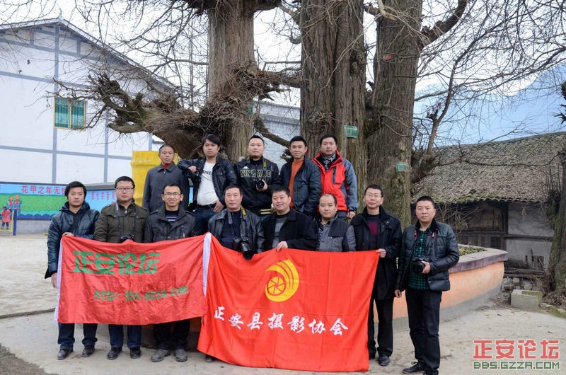 人间美景未摄够，蓬莱仙境续采风插图18