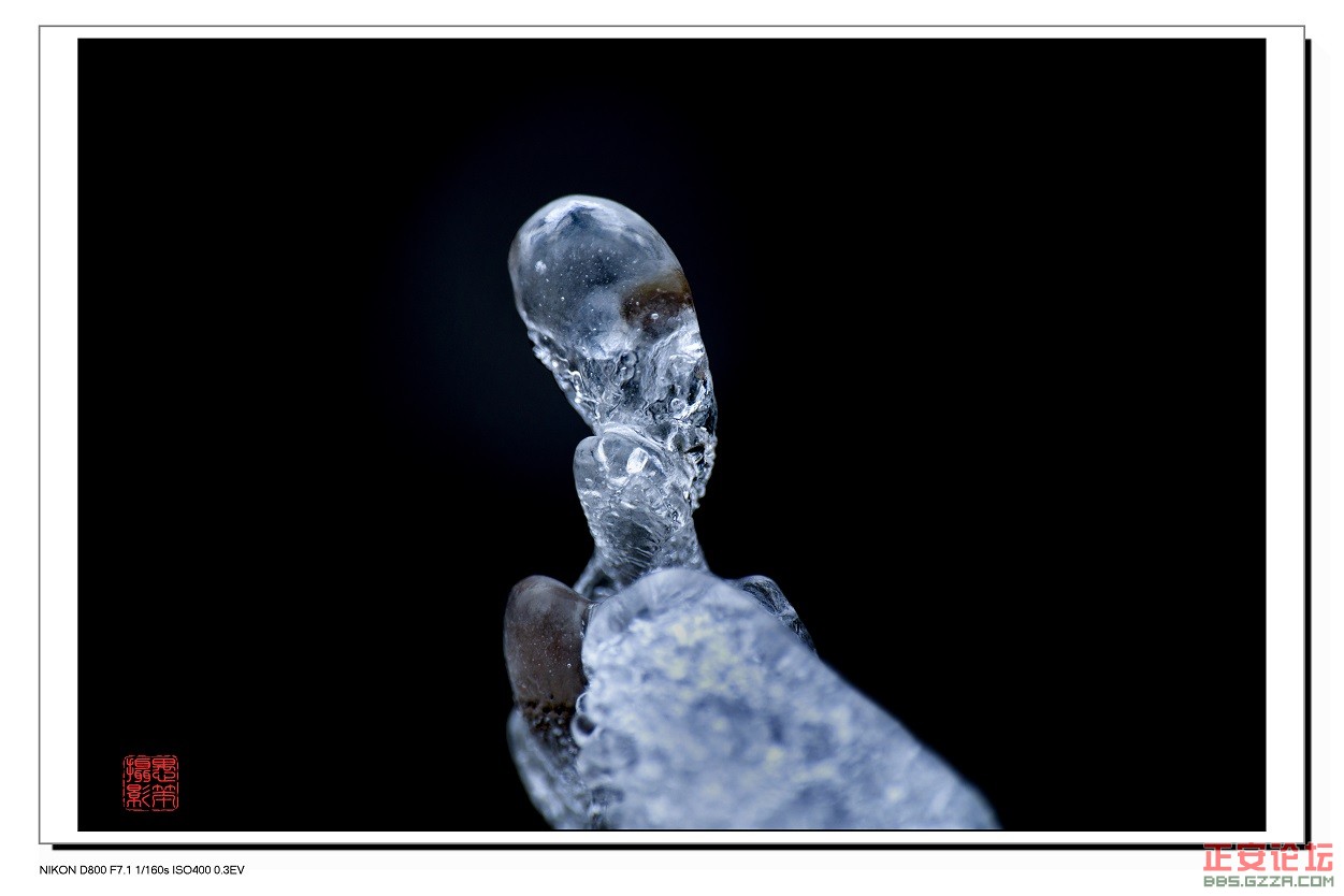 雪韵插图5