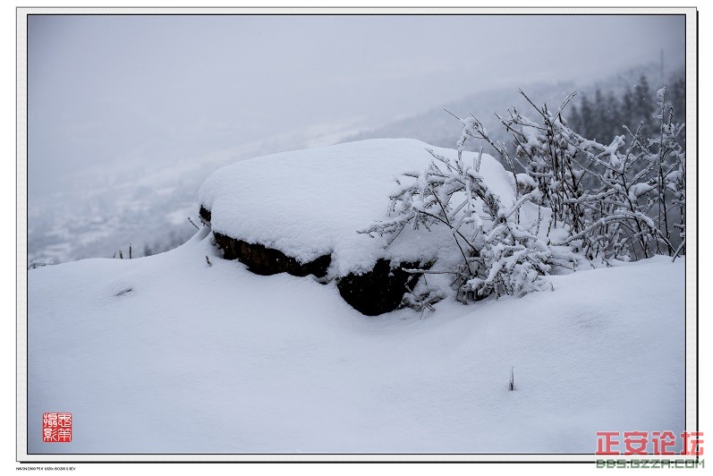 雪韵插图1