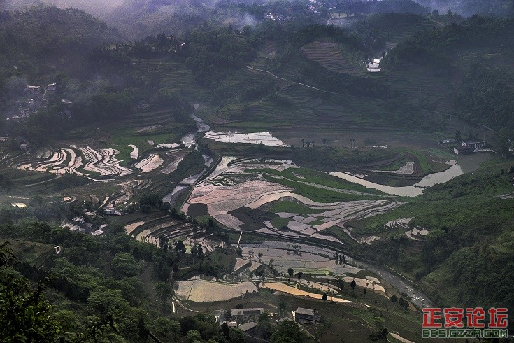 乡村小景插图3