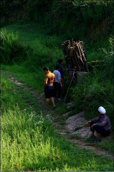 家在梨垭 日出而归.jpg