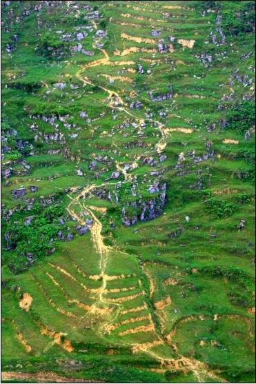 家在梨垭 山脊梁.jpg