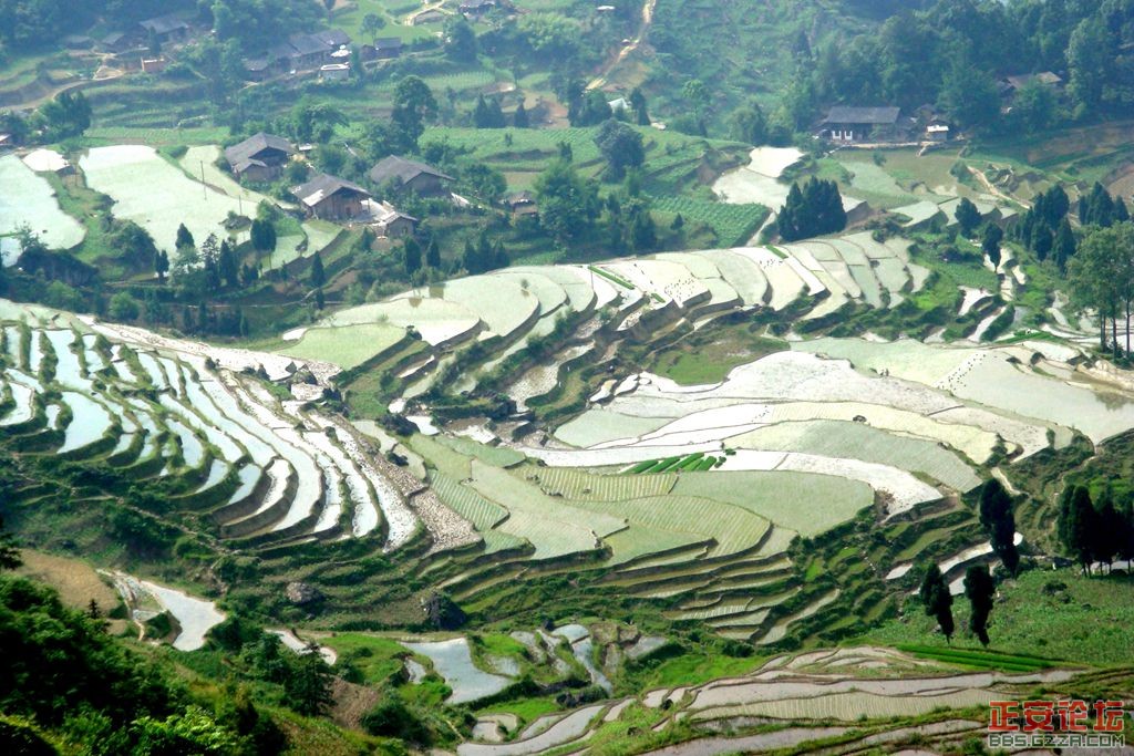 正安精品旅游线路推荐（小雅庙塘梯田）组图插图10