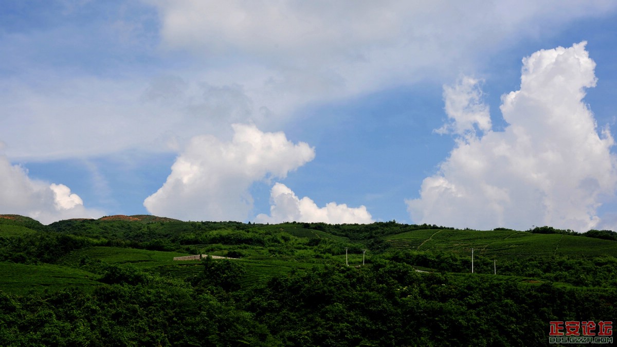 DSC_0729.JPG