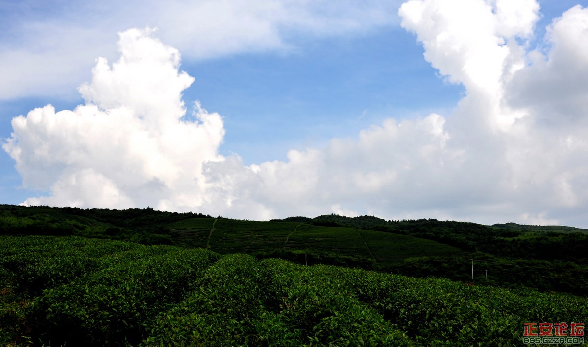 DSC_0735.JPG