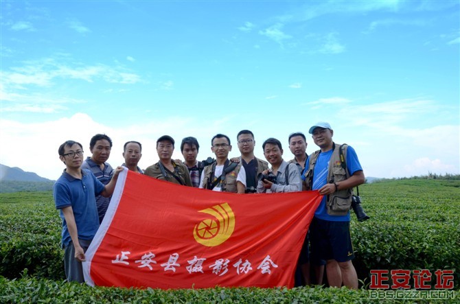 人间美景未摄够，蓬莱仙境续采风插图46