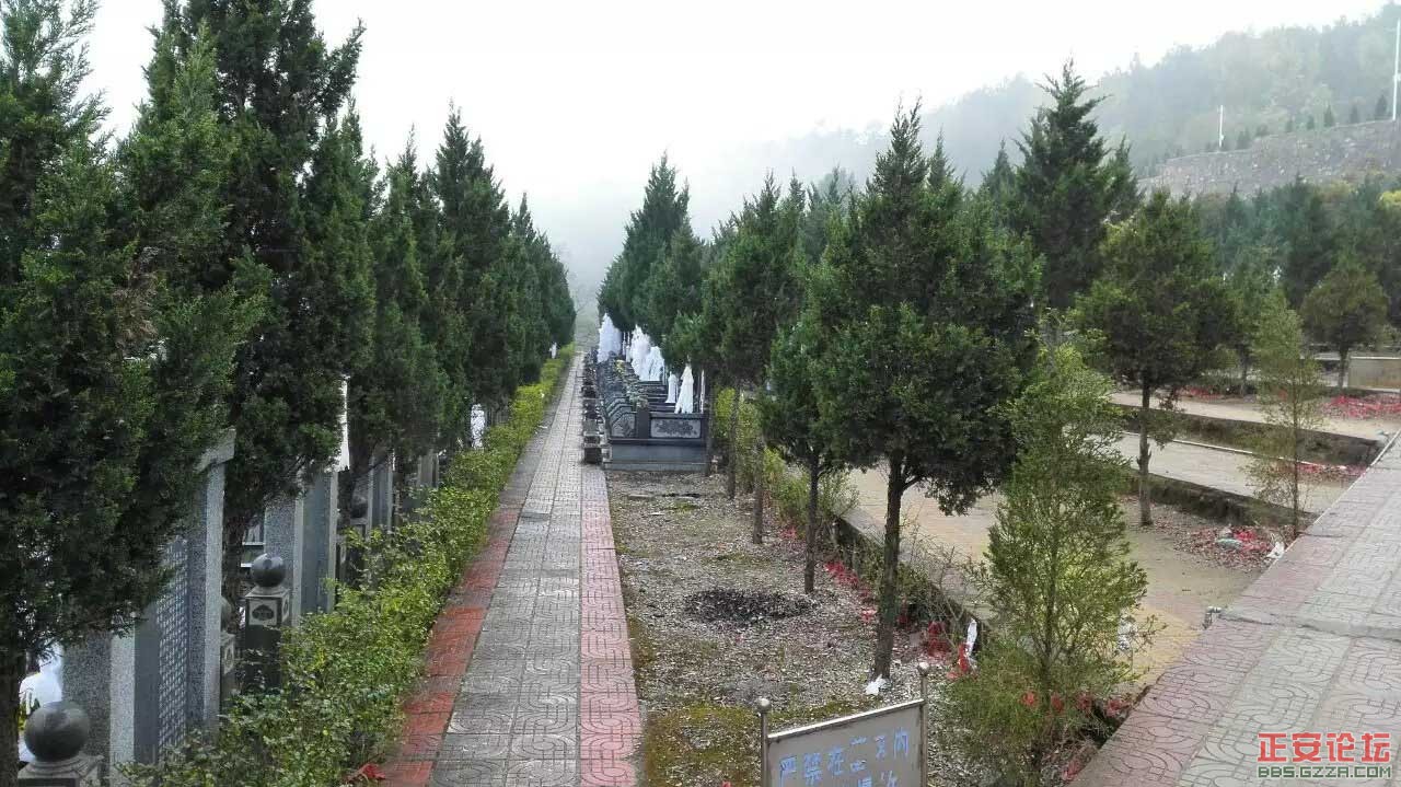 人间美景未摄够，蓬莱仙境续采风插图44