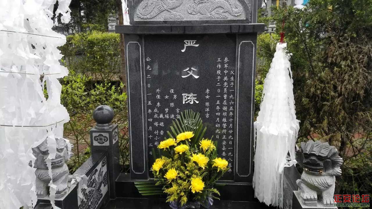 人间美景未摄够，蓬莱仙境续采风插图45