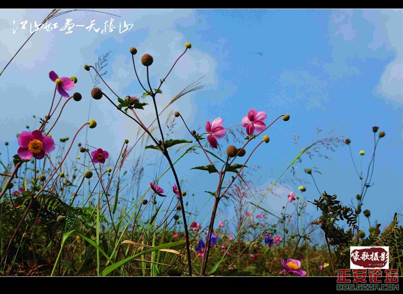 江山如画插图3