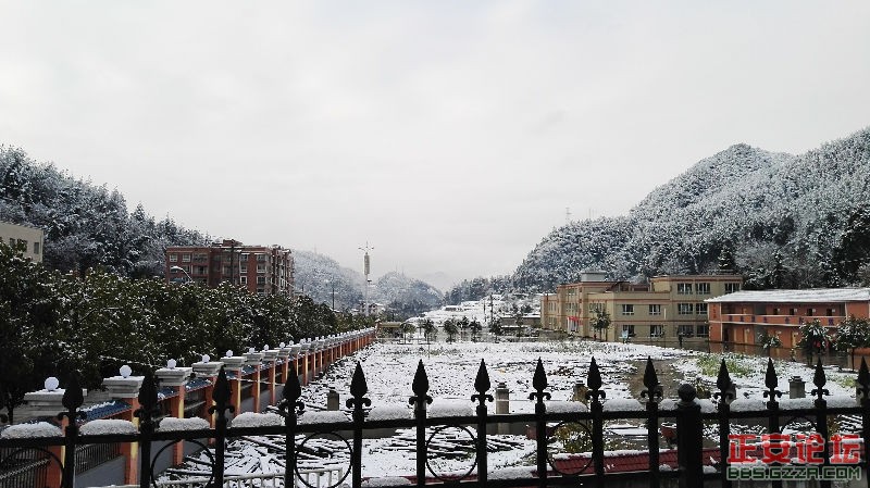 大地撒满盐，瑞雪兆丰年插图2