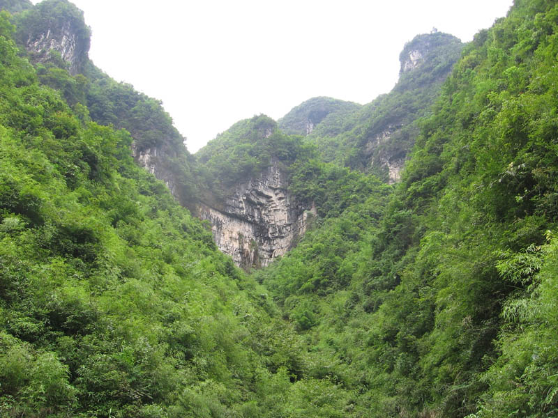 神奇秀丽的杨柳溪插图11