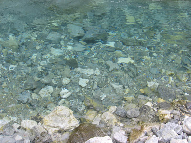 IMG_3956.jpg