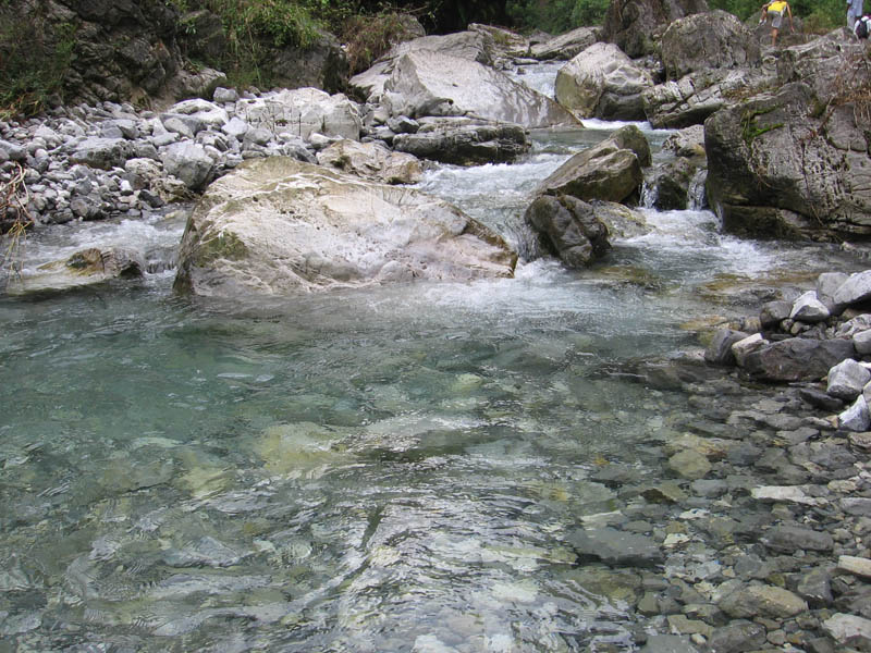 IMG_3965.jpg