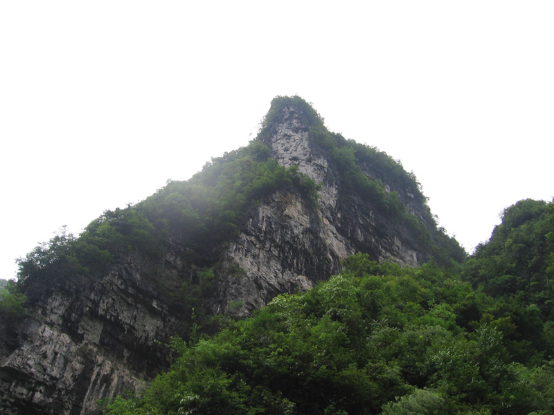 IMG_3990.jpg