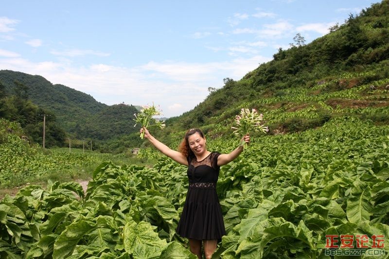 贵州正安上坝知青茶场避暑游插图47