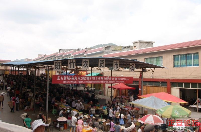 贵州正安上坝知青茶场避暑游插图60