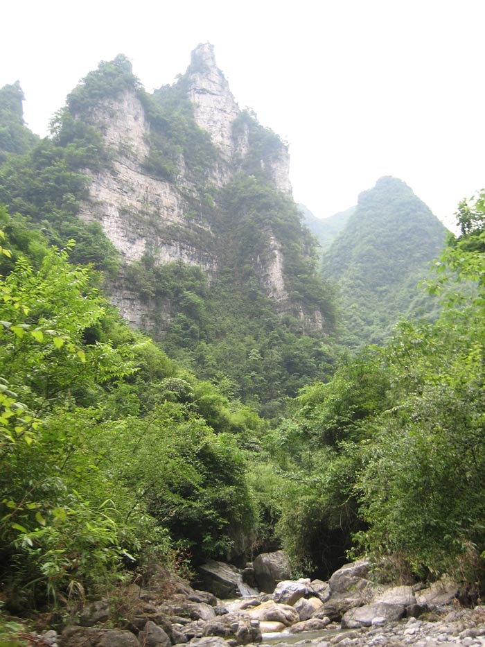 神奇秀丽的杨柳溪插图6