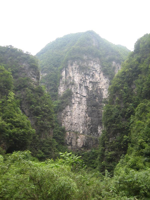 神奇秀丽的杨柳溪插图7