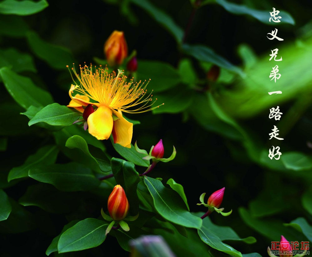 人间美景未摄够，蓬莱仙境续采风插图14