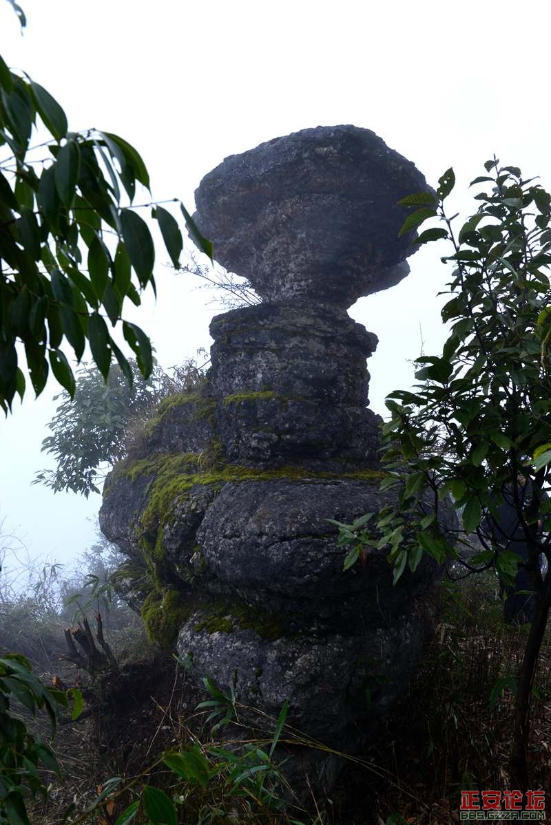 正安作家看桴焉文学采风活动记录插图3