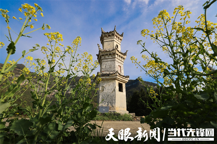图片8.png