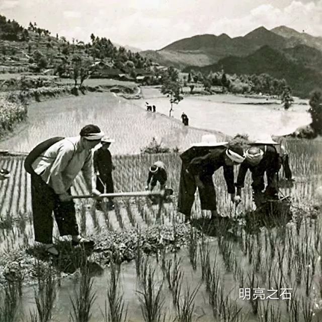 苦乐知青年华 — 半个世纪的回忆，一曲明亮的青春之歌插图13