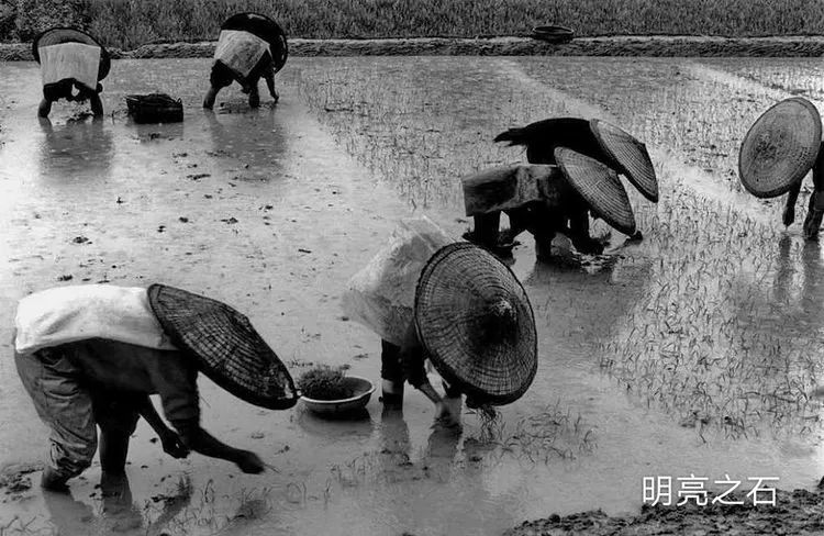 苦乐知青年华 — 半个世纪的回忆，一曲明亮的青春之歌插图11