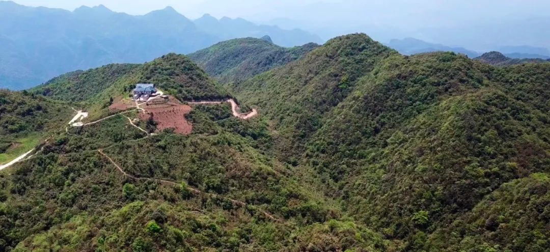 罗遵义风物散文选插图3