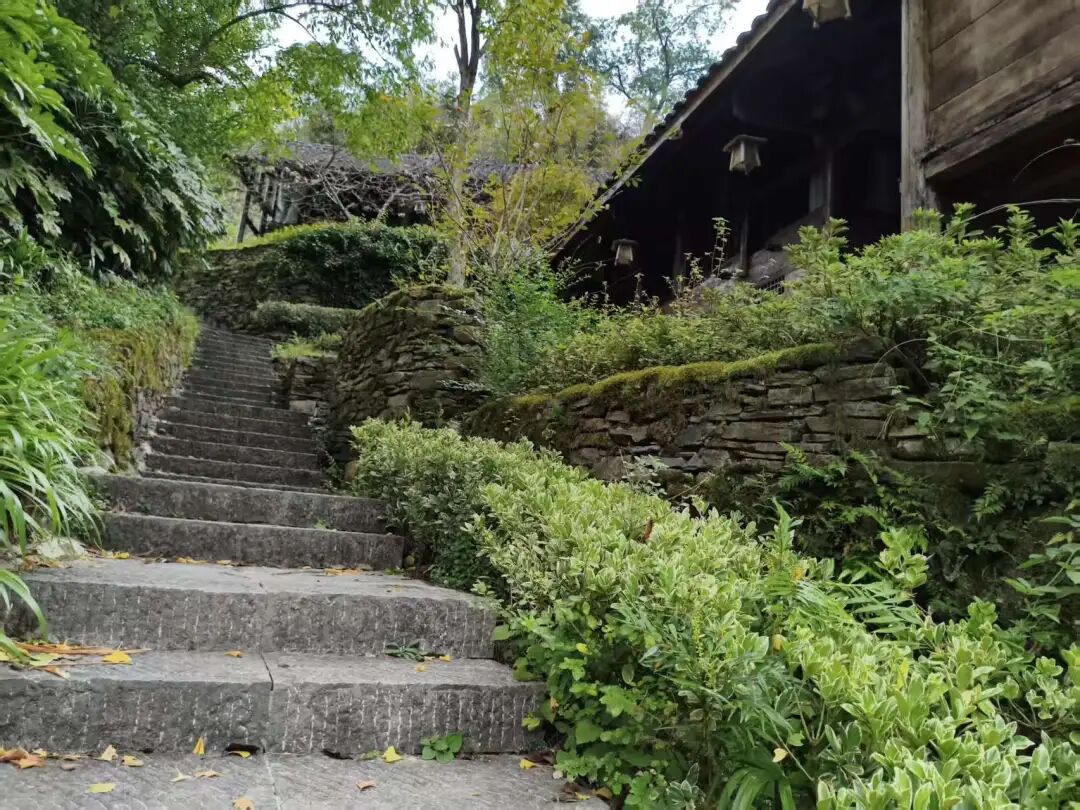 遇见现实版桃花源——正安桃花源记插图10