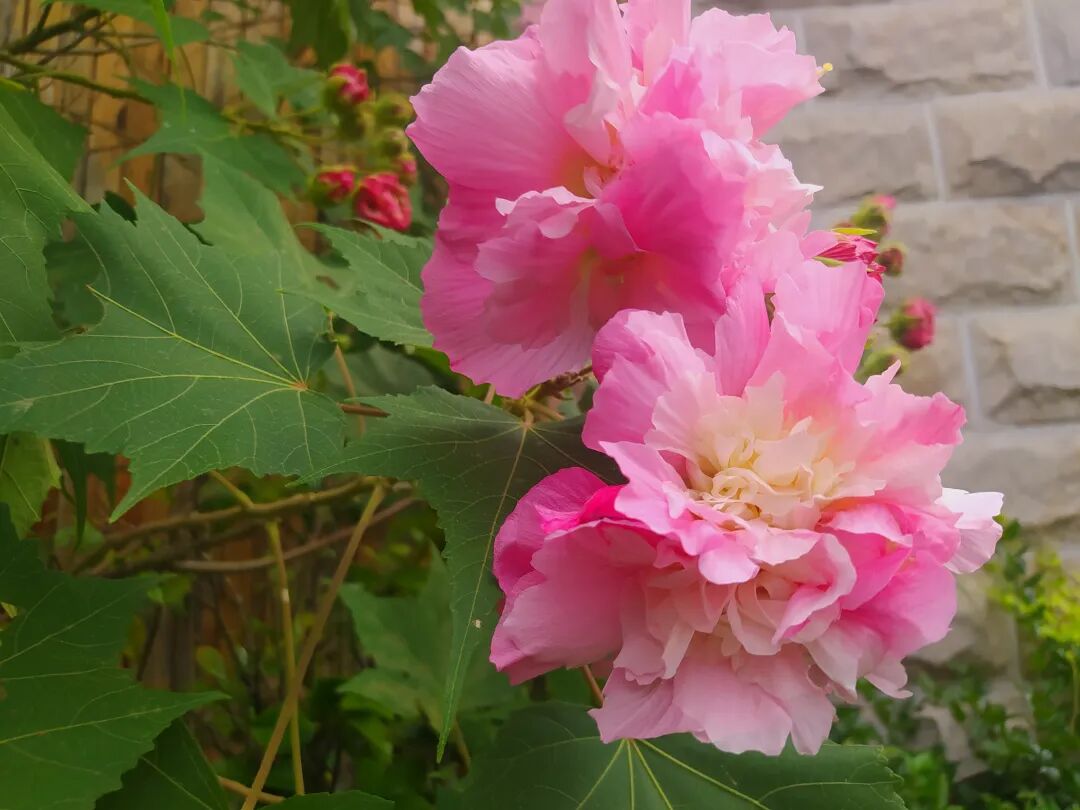 遇见现实版桃花源——正安桃花源记插图12