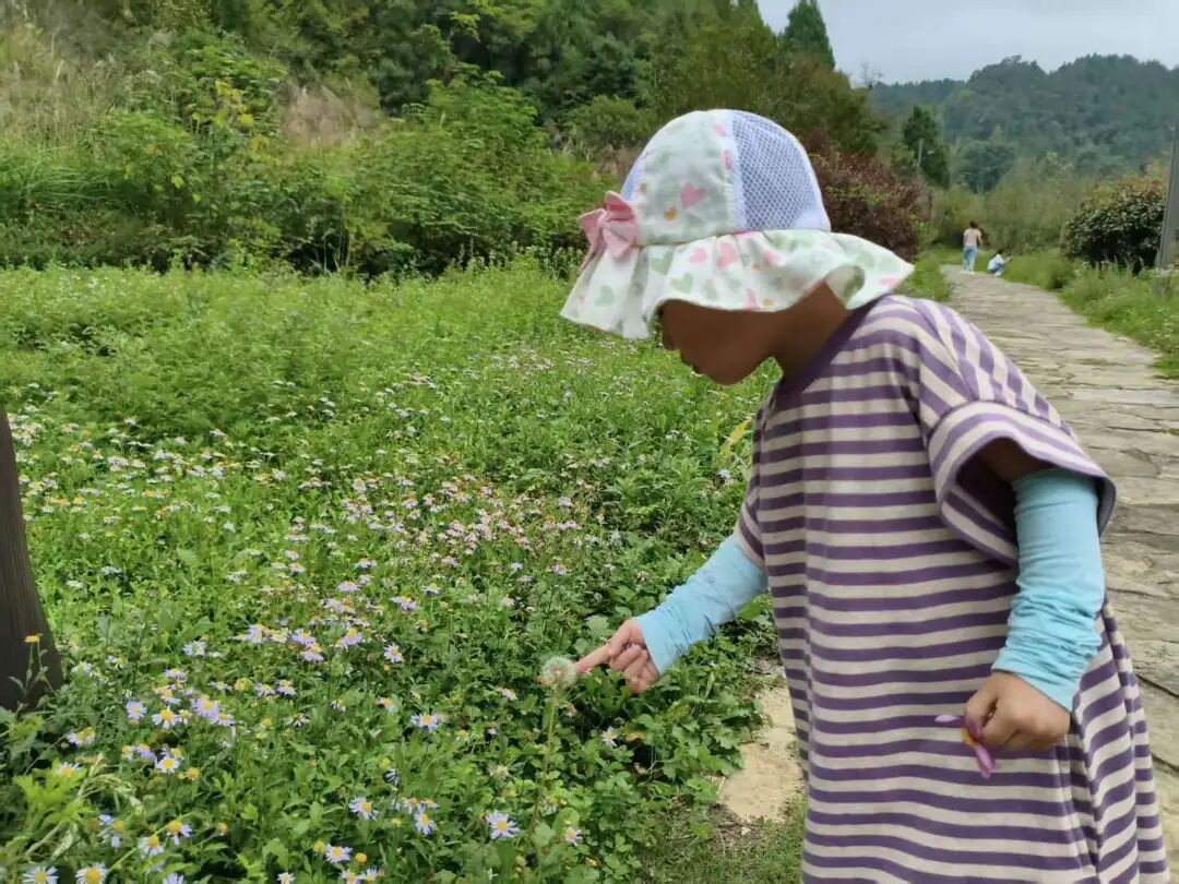 遇见现实版桃花源——正安桃花源记插图