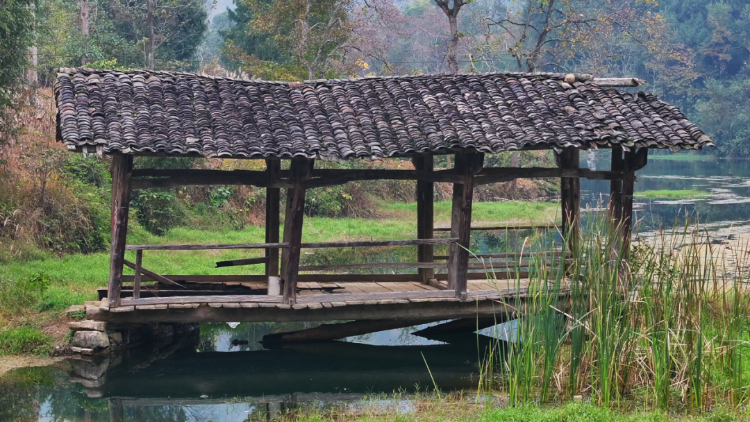 遵义正安发现贵州现存清代纪年最早木廊桥插图6 遵义正安发现贵州现存清代纪年最早木廊桥插图6