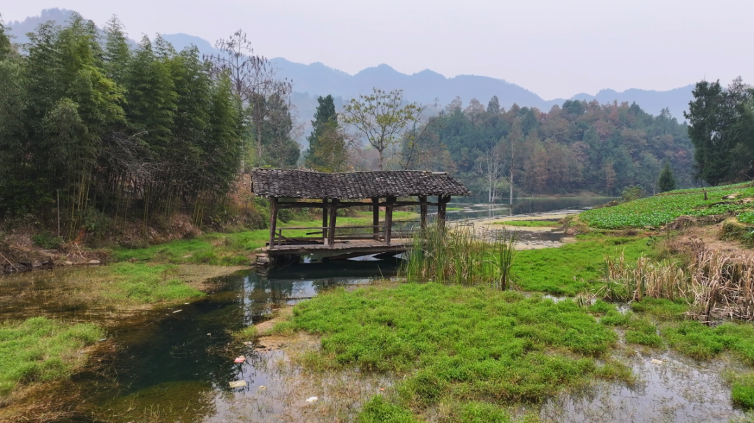 遵义正安发现贵州现存清代纪年最早木廊桥插图 张斗坝梁桥全景图-金枭枭摄.png