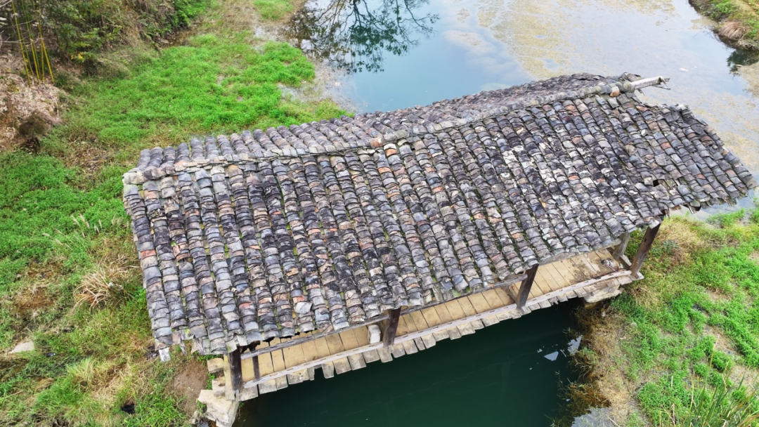 遵义正安发现贵州现存清代纪年最早木廊桥插图2 张斗坝梁桥-金枭枭摄.png