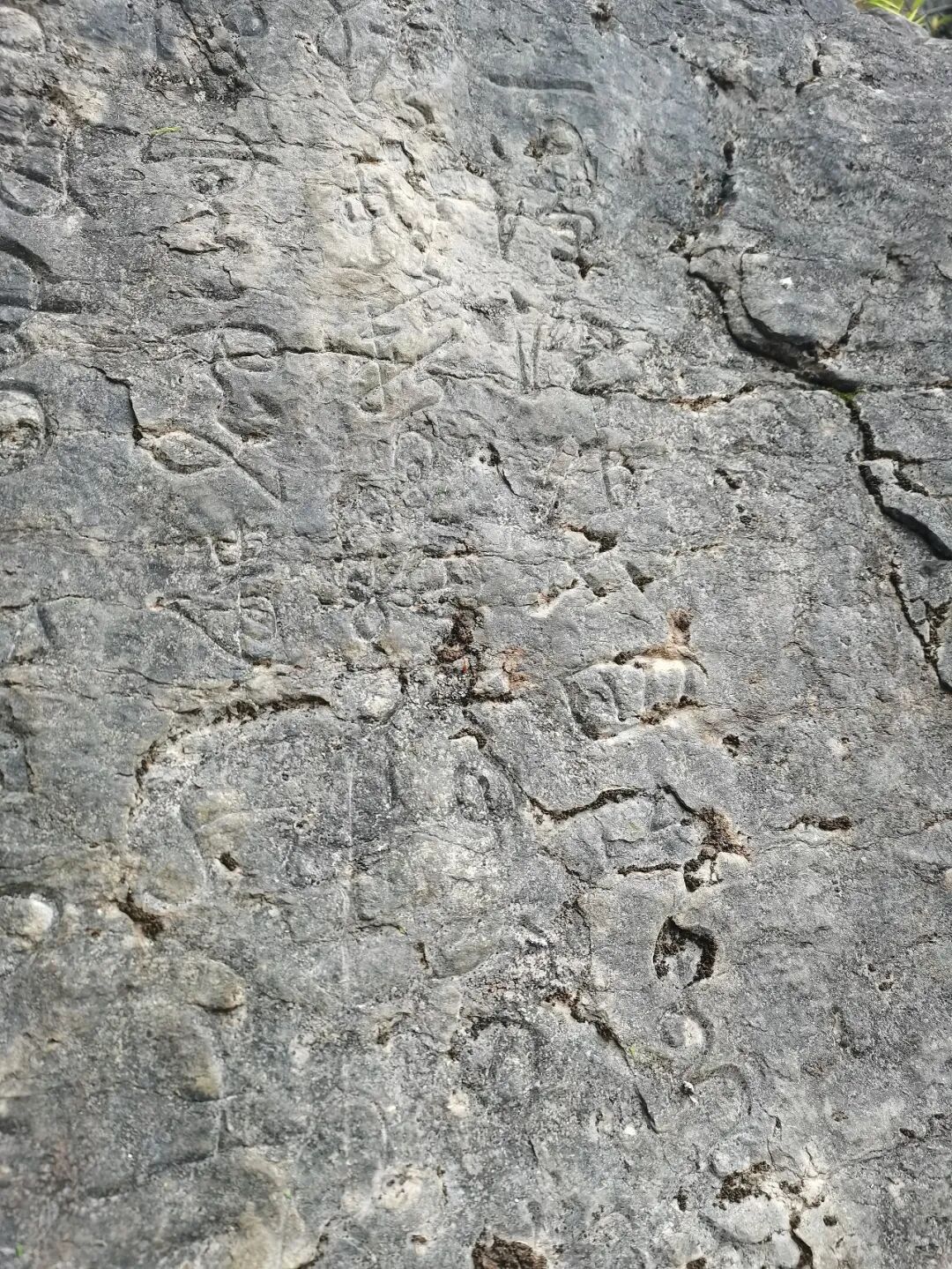 鱼塘摩崖考辨插图5