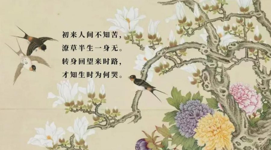初来人间不知苦，潦草半生一身无