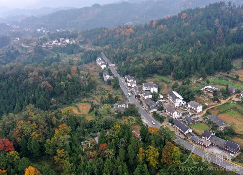 贵州正安：美丽乡村景如画插图4