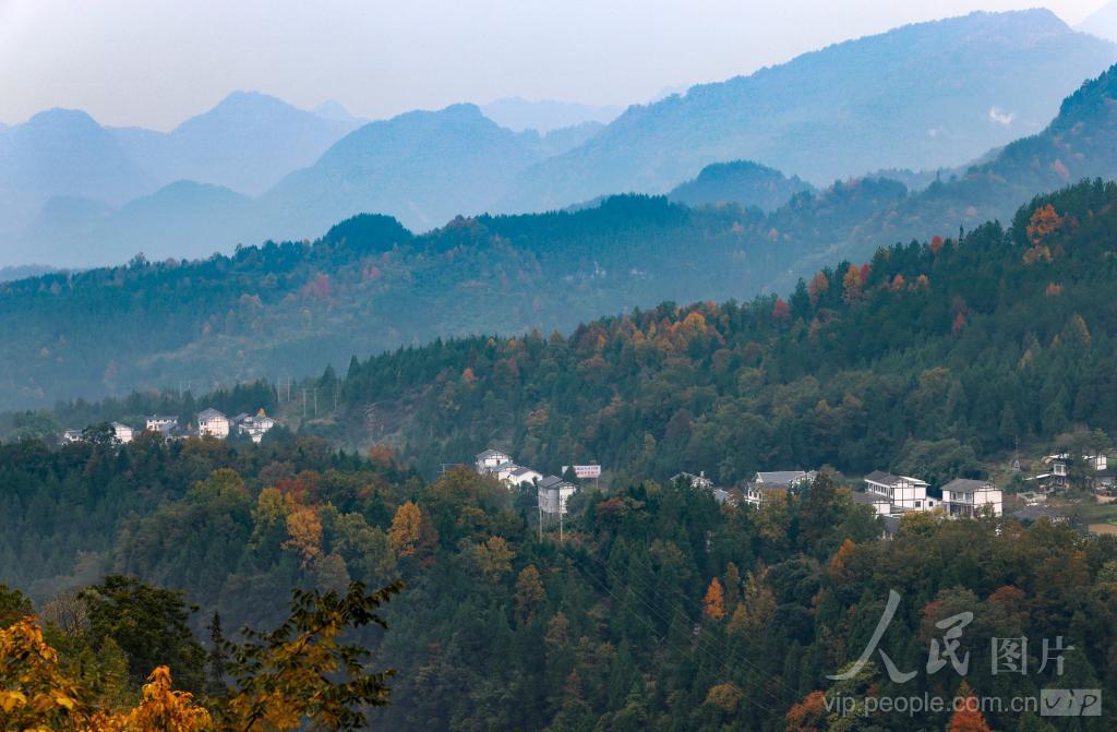 贵州正安：美丽乡村景如画插图3