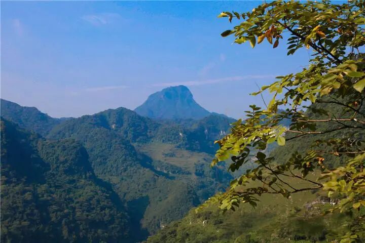 三县交界顶箐山插图 图片