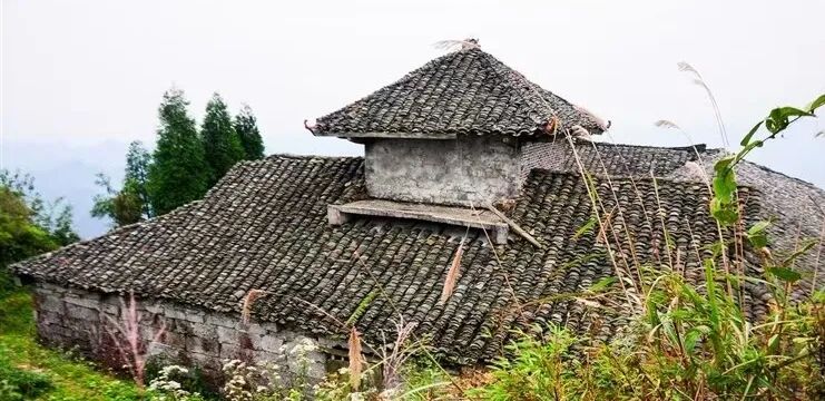 三县交界顶箐山插图2 图片